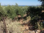 Kissamos Kreta, Kissamos: Grundstück in der Nähe des Strandes von Falassarna Grundstück kaufen